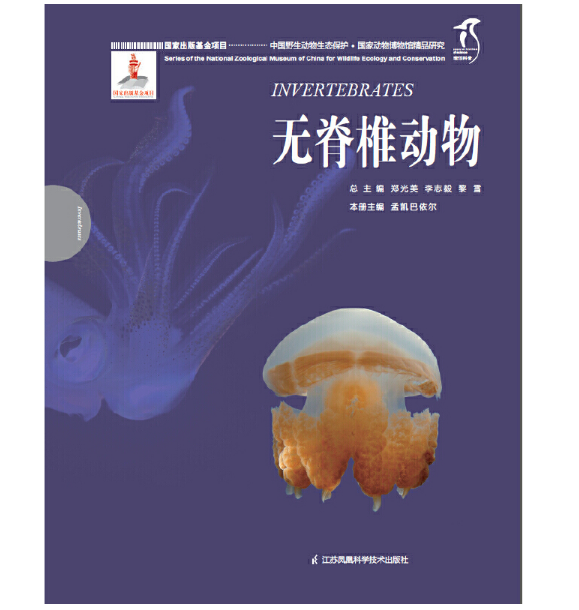 ��(gu��)�҄�(d��ng)�ﲩ���^��Ʒ�о�----�o(w��)��׵��(d��ng)��