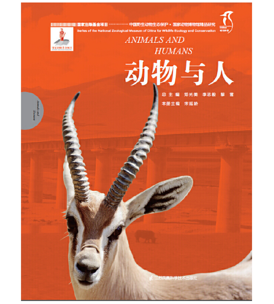 ��(gu��)�҄�(d��ng)�ﲩ���^��Ʒ�о�----��(d��ng)���c��