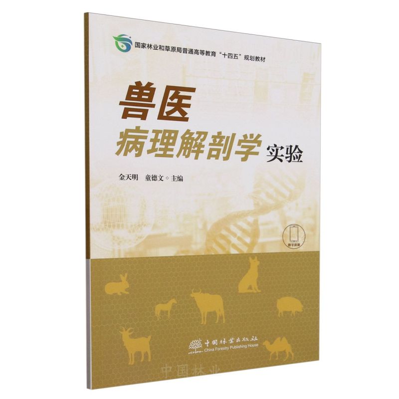 Ft(y)ʌW(xu)(sh)(yn)(֘I(y)ͲԭͨߵȽʮҎ(gu)̲)