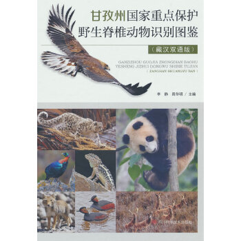  ݇c(din)o(h)Ұ׵ReDb