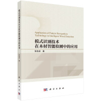 ģʽR(sh)eg(sh)ľܙzy(c)еđ(yng)