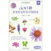 500NҊ(jin)ҰҰR(sh)eDb