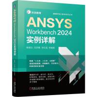 ANSYS Workbench 2024Ԕ