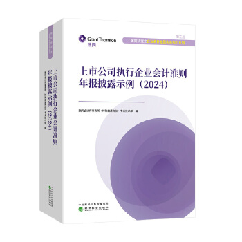 上市公司執(zhí)行企業(yè)會(huì)計(jì)準(zhǔn)則年報(bào)披露示例