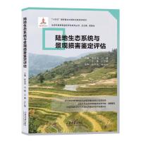 ꑵB(ti)ϵy(tng)c^pbu(png)