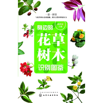 ��߅�Ļ��ݘ�ľ�R�e�D�b