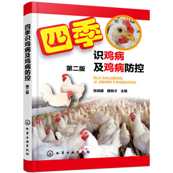 �ļ��R(sh��)�u�����u�����أ��ڶ��棩