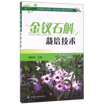 ���Oʯ�����༼�g(sh��)