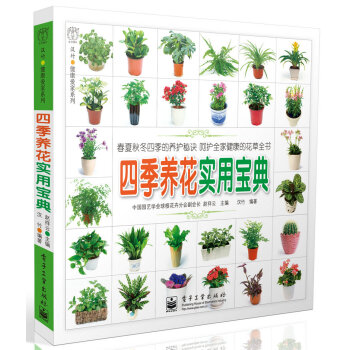 �ļ��B(y��ng)����(sh��)�Ì��䣨ȫ�ʣ�