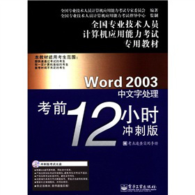 Word 2003������̎��