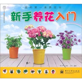 �ҵĵ�һ���B(y��ng)����(sh��)�������B(y��ng)�����T��ȫ�ʣ�