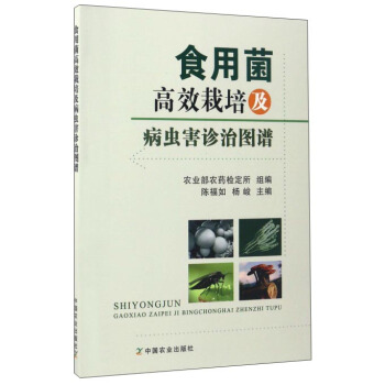 ʳ�þ���Ч���༰���x���\�ΈD�V