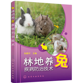 �ֵ��B(y��ng)�ü������μ��g(sh��)