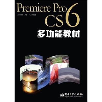 Premiere Pro CS6�๦�̲ܽ�