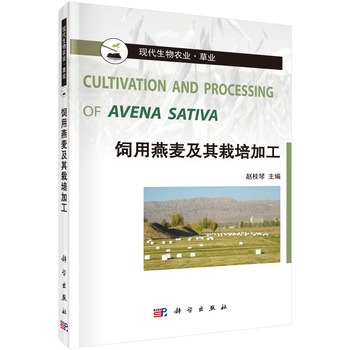 ���������������ӹ�