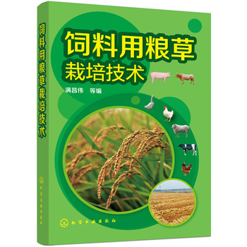 ����üZ�����༼�g(sh��)